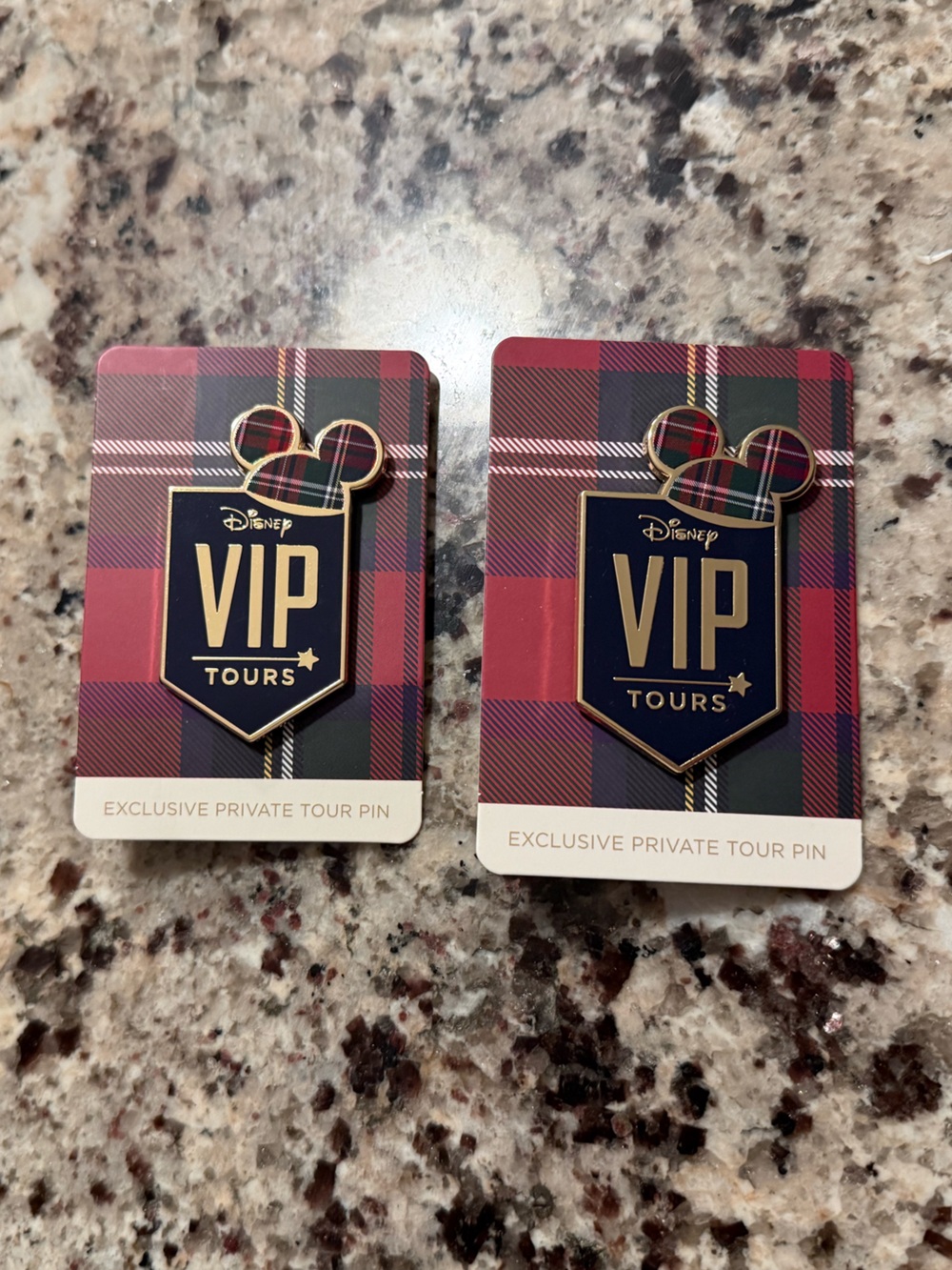TWO 2025 Disney Plaid VIP Tours Enamel Pins - Red and Navy